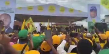 Adeleke Safe As Stage Collapses During Political Rally In Osun