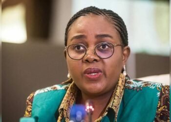 South African Artistes Losing Shows Due To Immigration Backlash – Minister