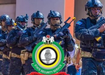 DSS Probes Operatives After Controversial Sowore Courtroom Removal