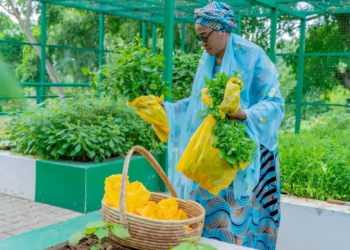Oluremi Tinubu Harvests Fresh Produce From Villa Garden, Donates To Staff