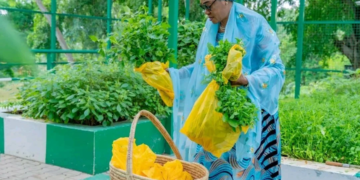 Oluremi Tinubu Harvests Fresh Produce From Villa Garden, Donates To Staff