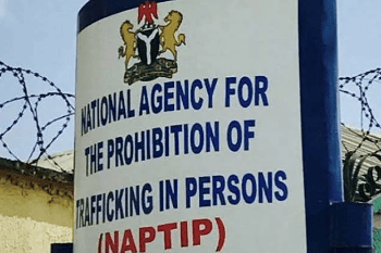 156 Victims Rescued As NAPTIP Exposes New Human Trafficking Tactics