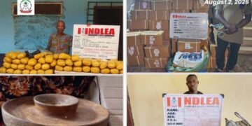 NDLEA Intercepts Cocaine Hidden In Mortar, Backpack Bound For China, Italy