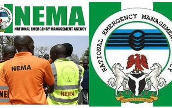 NEMA Receives 37 Nigerians Repatriated From Türkiye In Abuja