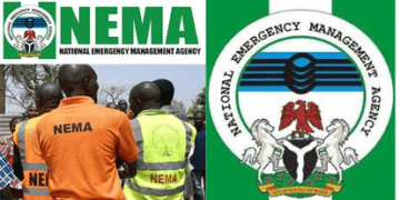 NEMA Receives 37 Nigerians Repatriated From Türkiye In Abuja