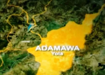 Woman Allegedly Beheaded In Adamawa Hotel