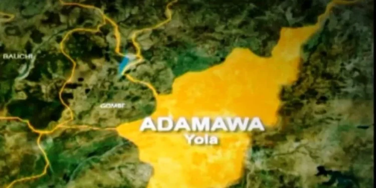 Woman Allegedly Beheaded In Adamawa Hotel
