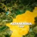 Woman Allegedly Beheaded In Adamawa Hotel