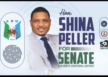 Shina Peller Declares 2027 Bid For Oyo North Senate Seat