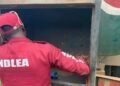 NDLEA Intercepts Fuel Tanker Carrying 2.1 Tonnes Of Cannabis In Ondo