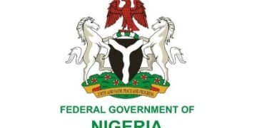FG Demands Probe Into Deaths Of Two Nigerians In South Africa
