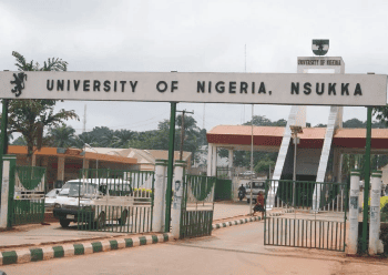 Labour Party Chieftain Sues UNN Over Peter Obi’s Academic Records