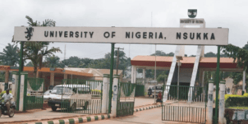 Labour Party Chieftain Sues UNN Over Peter Obi’s Academic Records