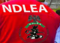 NDLEA Intercepts 44kg Colorado In UK Shipments, Arrests Seven In Lagos