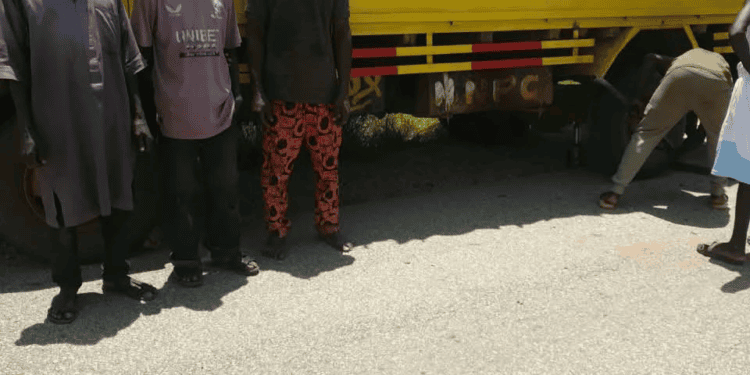 Troops Rescue Three Kidnap Victims After Terrorist Attack In Zamfara