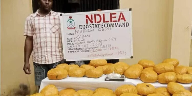 NDLEA Arrests Mechanic Over Alleged Use Of Workshop As Drug Hideout