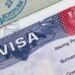 US Announces New Visa Restrictions Targeting Birth Tourism Networks