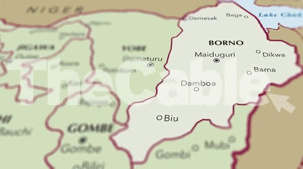 15 Villagers Killed In Fresh Boko Haram Attack In Borno