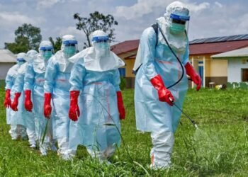 Ebola Outbreak: What Nigerians Need to Know About Symptoms, Transmission, Prevention